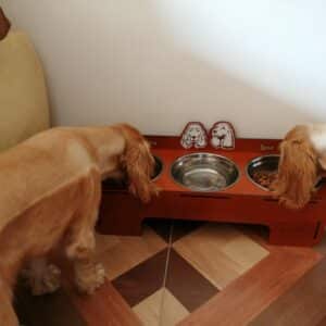 Bandeja de comida para mascotas personalizado