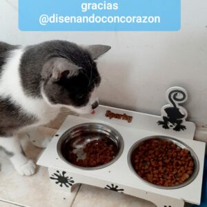 Bandeja de comida para mascotas personalizado