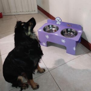 Bandeja de comida para mascotas personalizado