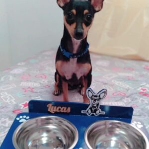 Bandeja de comida para mascotas personalizado