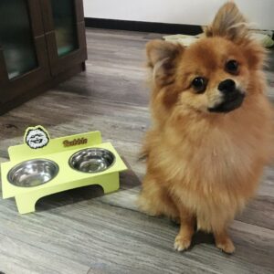 Bandeja de comida para mascotas personalizado