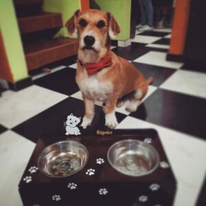 Bandeja de comida para mascotas personalizado