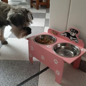 Bandeja de comida para mascotas personalizado