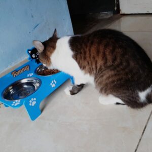 Bandeja de comida para mascotas personalizado