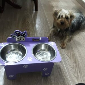 Bandeja de comida para mascotas personalizado