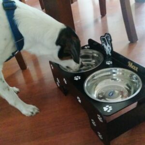 Bandeja de comida para mascotas personalizado