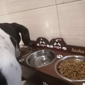 Bandeja de comida para mascotas personalizado