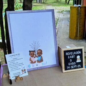 cuadro para revelación de genero / baby shower con mensajes personalizado